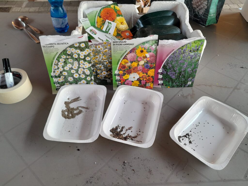 Le attività al nostro Grest estivo continuano sempre all'insegna della