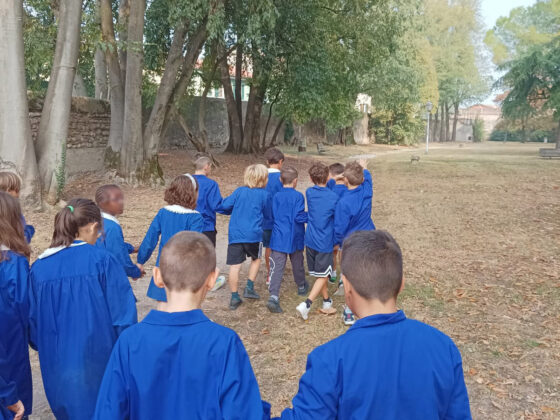 Grazie al comune di Comune di Povegliano Veronese, nell'ambito del