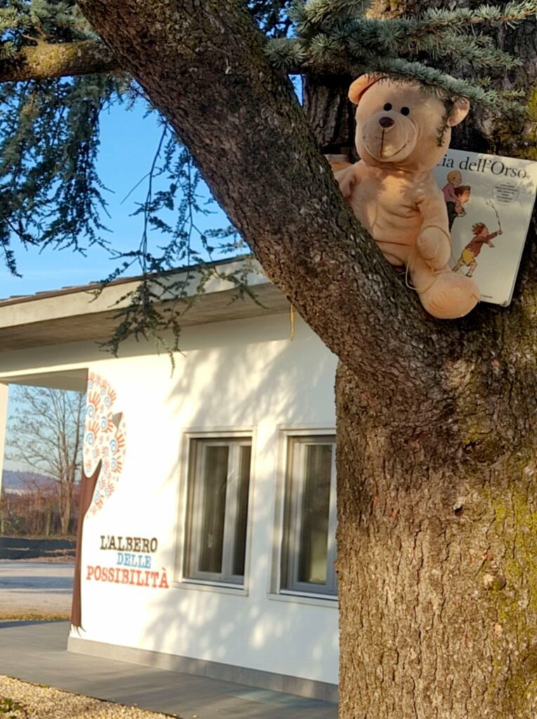L'orso è tornato nella sua casa sull'Albero delle Possibilità! Grazie